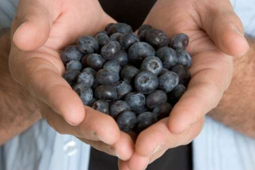Eating blueberries can reduce men's risk of prostate cancer and heart disease