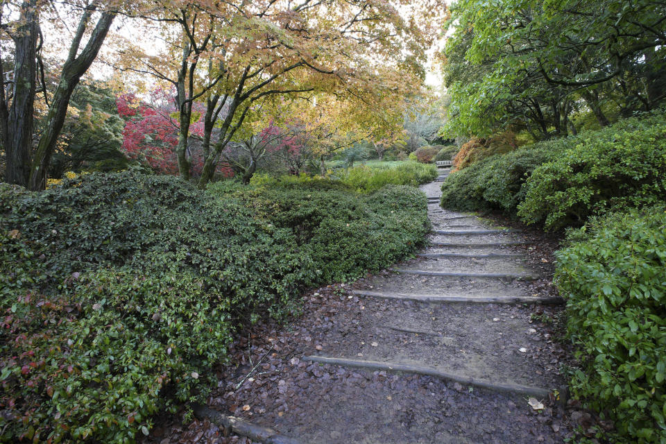 Steps in an arboretum, taken with the Sigma 10-18mm f2.8 DC DN lens for APS-C mirrorless at f/5.6