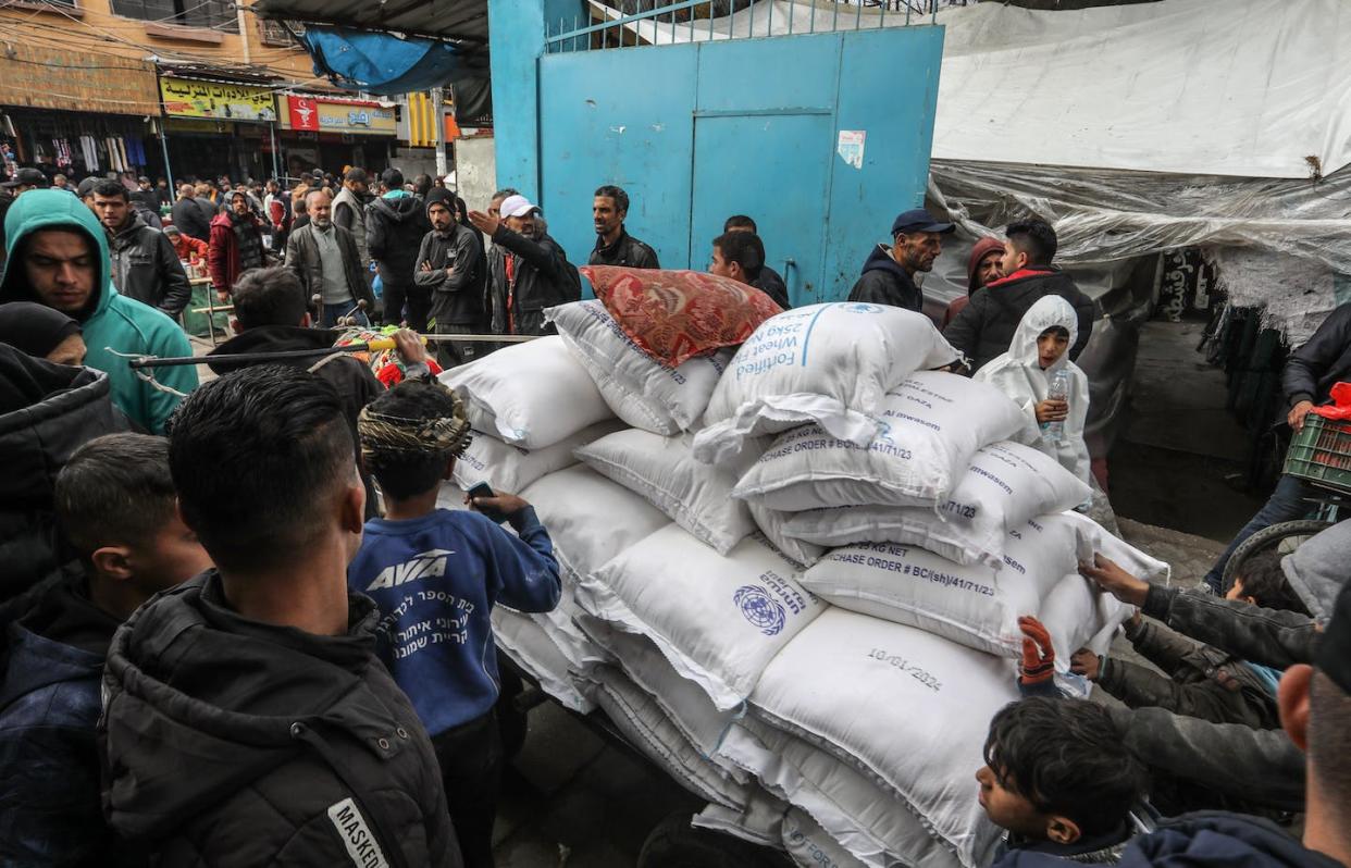 Habitantes de la Franja de Gaza se congregan para recibir suministros de alimentos en una escuela de UNRWA el 24 de enero de 2024. <a href="https://www.shutterstock.com/es/image-photo/palestinians-crowd-receive-food-supplies-unrwa-2418878639" rel="nofollow noopener" target="_blank" data-ylk="slk:Anas-Mohammed / Shutterstock;elm:context_link;itc:0;sec:content-canvas" class="link ">Anas-Mohammed / Shutterstock</a>