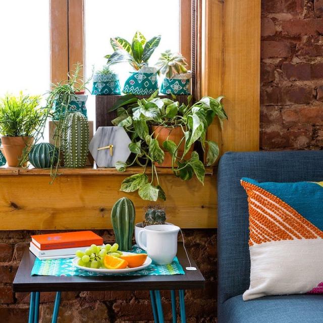 15 IKEA Hacks for the Plants Your Life