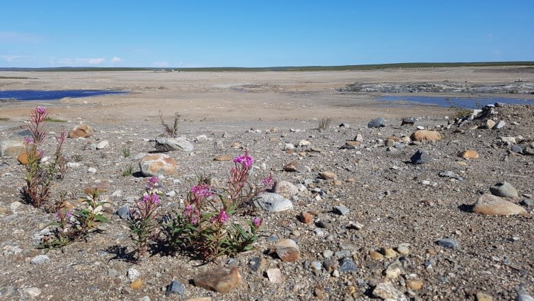 Feds, northerners celebrate clean-up of Tundra Mine in N.W.T.