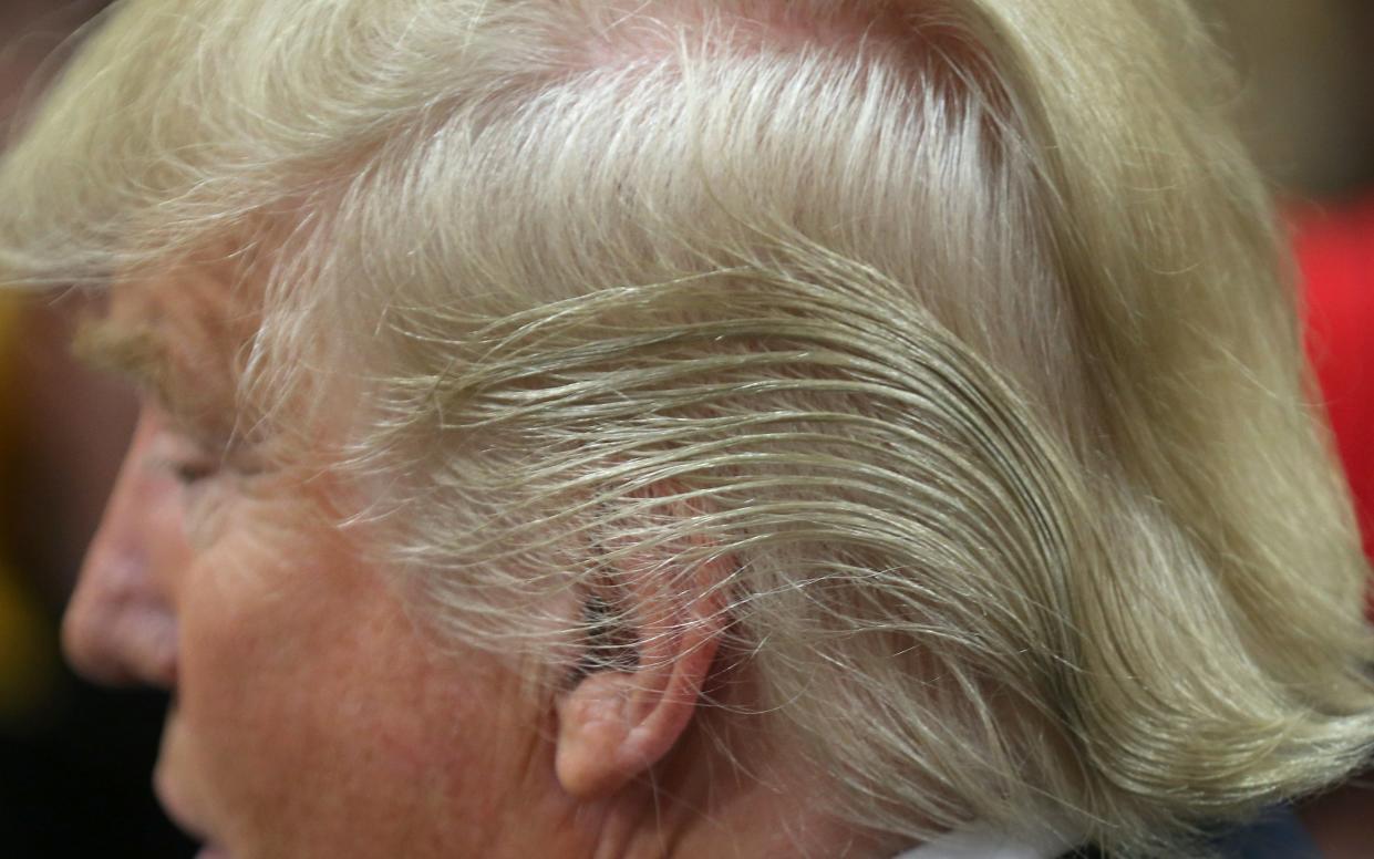 The secret treatment behind Donald Trump's hair - 2016 Getty Images