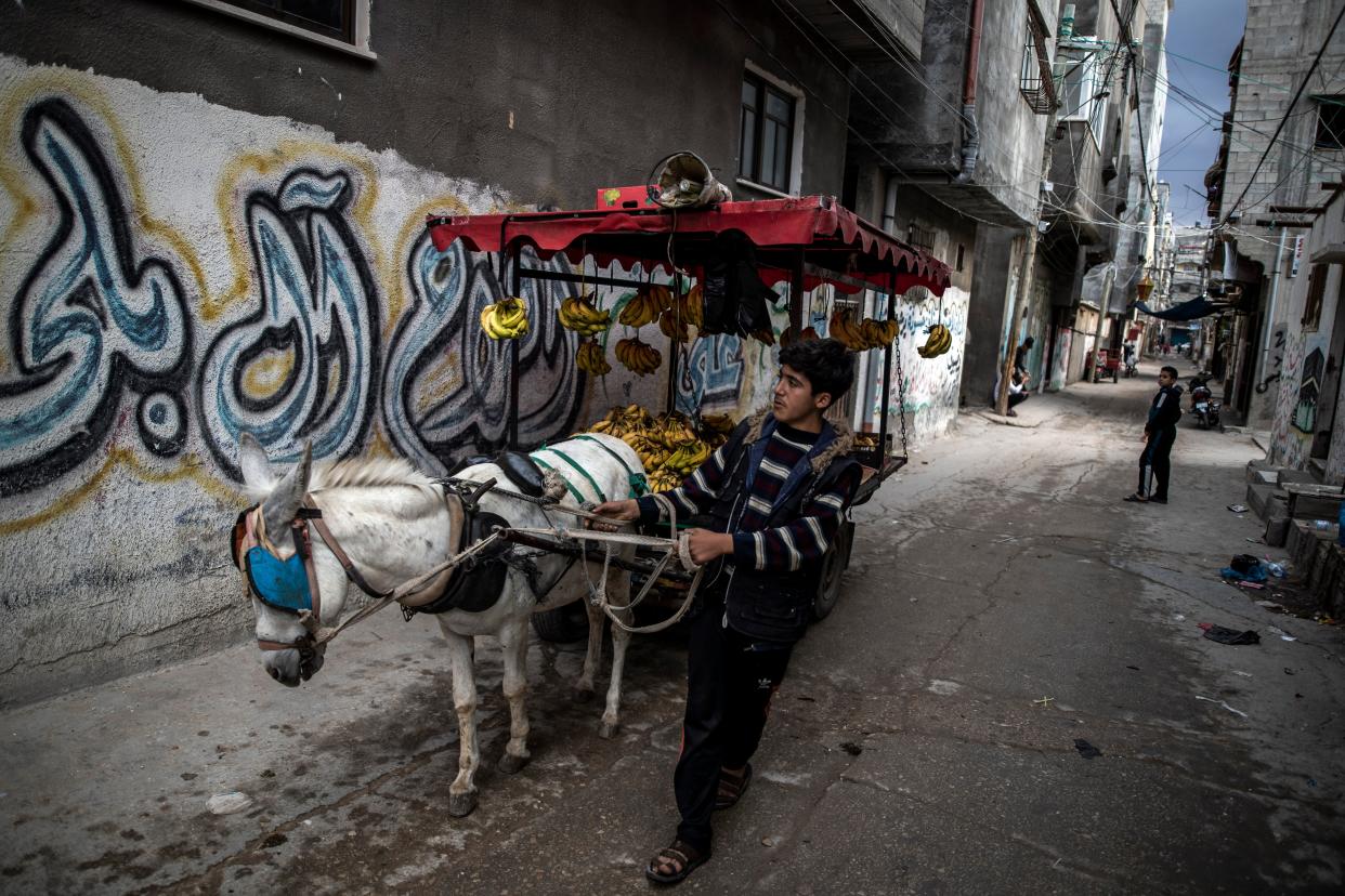 <p>A Palestinian boy sells bananas on a donkey cart in an alley in the Shati refugee camp in Gaza City</p> (Getty Images)