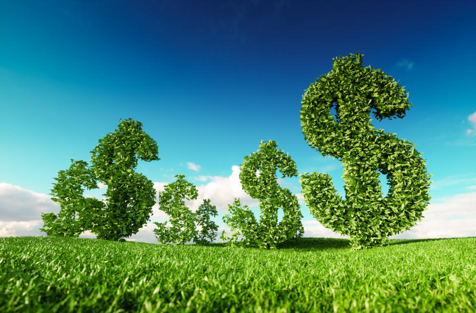 Eco friendly business, green profit, growing money and  sustainable economy concept. 3d rendering of green dollar icon on fresh spring meadow with blue sky in background.