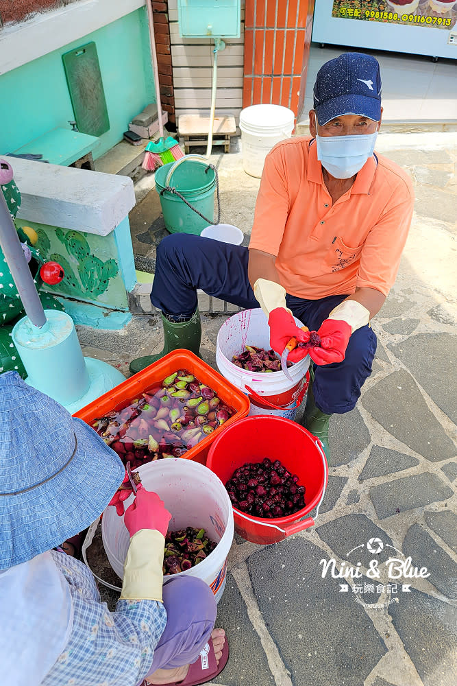 澎湖｜阿萬伯純仙人掌冰果汁