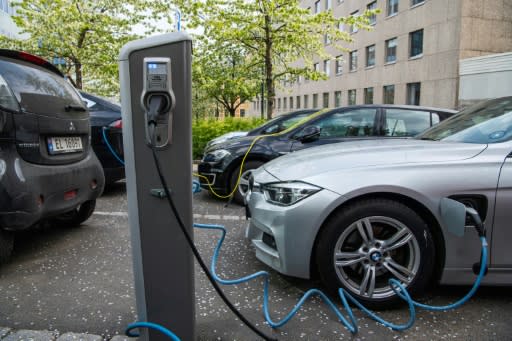 Rich or not, young and old, hip urbanites and rural dwellers alike: Norwegians, including Crown Prince Haakon, are increasingly switching to electric cars