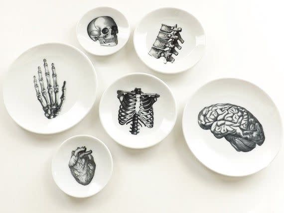 9) Anatomy Dishes