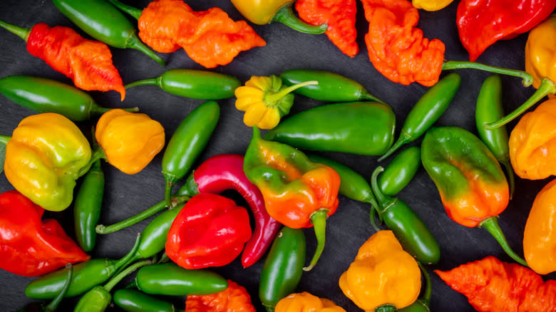 Assorted hot peppers and chilies