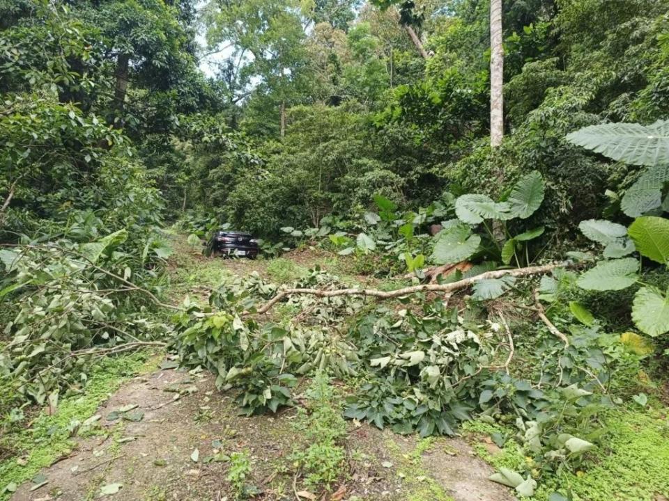 苗栗一處農路上發現一家5口陳屍車上。翻攝記者爆料網