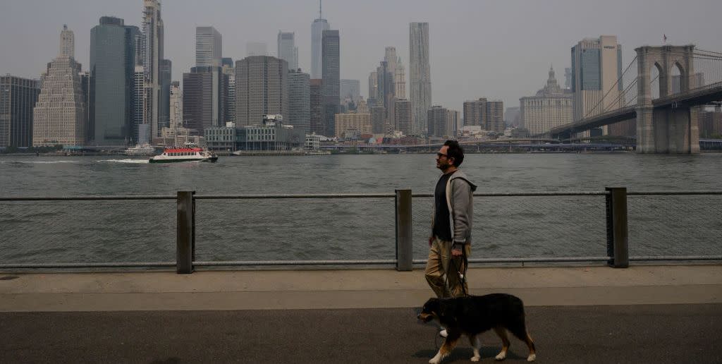 man walking his dog during poor air quality