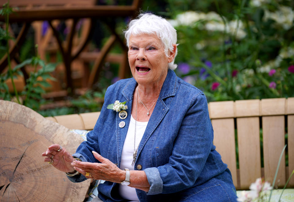 Dame Judi Dench during the RHS Chelsea Flower Show press day, at the Royal Hospital Chelsea, London. Picture date: Monday May 23, 2022.