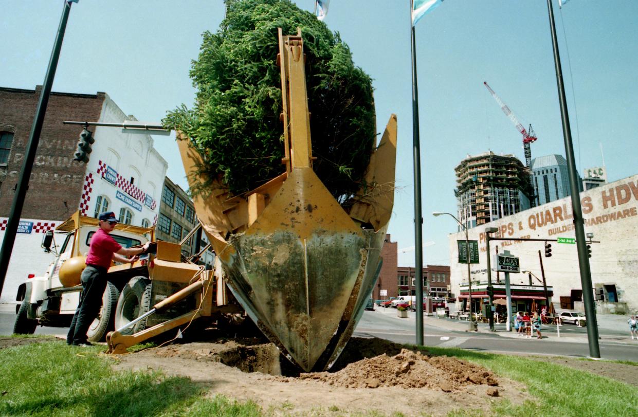 Arbor Day is April 28 this year, a holiday meant to encourage individuals or groups to plant trees.