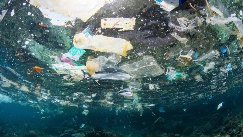 Discarded plastic bags and other trash float above a shallow coral reef in Raja Ampat, Indonesia. 