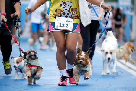 People run with their pets during a mini-marathon for dogs in Bangkok, Thailand May 7, 2017. REUTERS/Jorge Silva