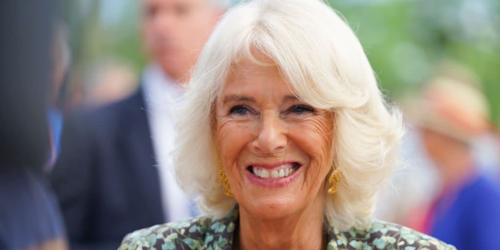 the duchess of cornwall visits antiques roadshow in cornwall