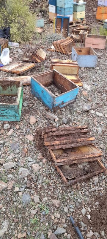 Damaged hives are seen after heavy rains hit Chilean central and southern regions, in O'Higgins region