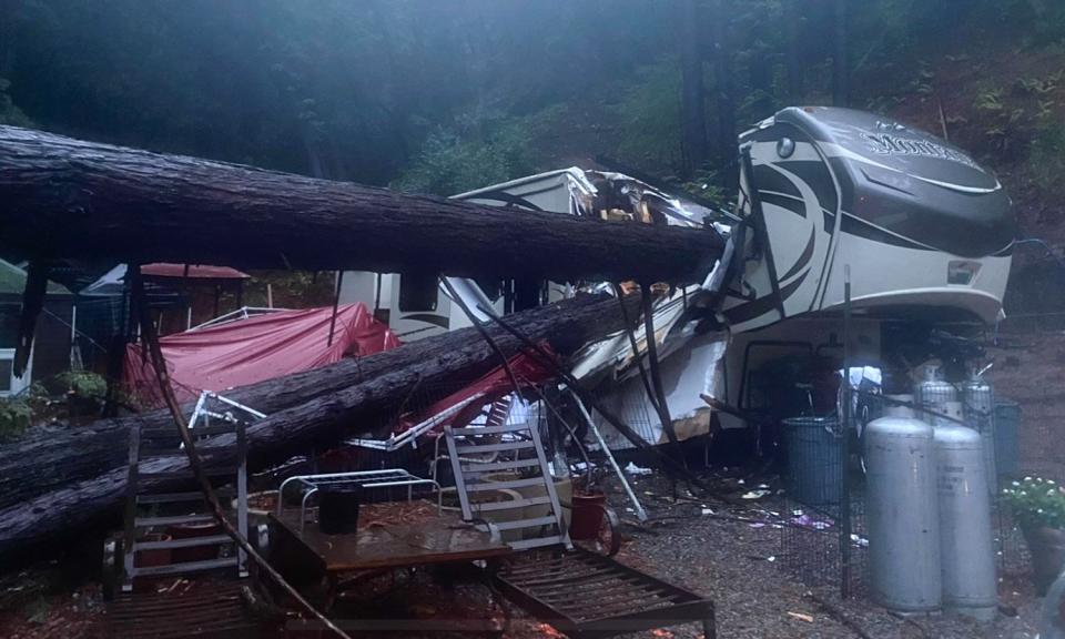 Calif. Family of 4 Nearly Crushed to Death After Tree Falls on Their RV