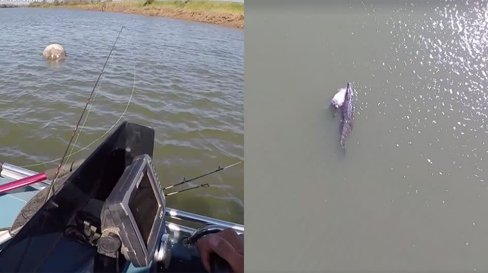 The monster croc dragged its lunch for kilometres down the river. Source: Facebook