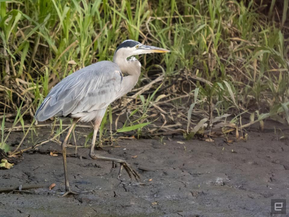 Olympus E-M1 Mark III sample image gallery