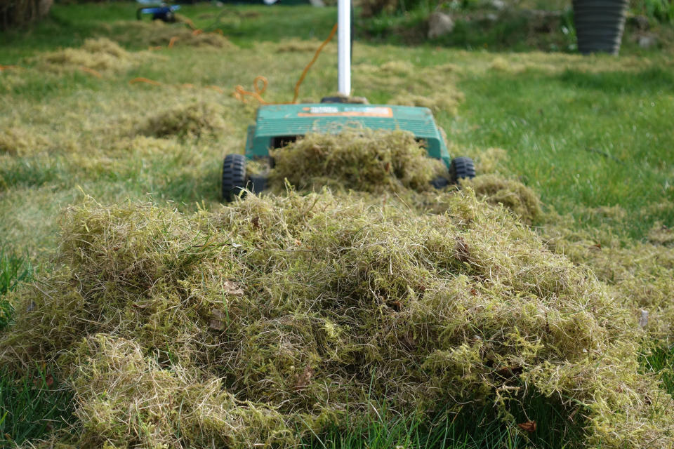 Scarify your lawn, lifting moss out of it (Hannah Stephenson/PA)