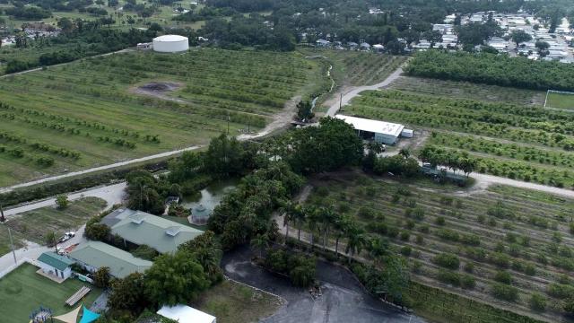 As the family transitions away from agriculture after over 80 years in the business, the Mixons are entertaining the idea of selling the park to Manatee County officials as part of a voter-approved effort to preserve environmental land. Mixon Fruit Farm is shown in this aerial drone photo on May 25, 2023.