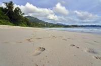 FILE - In this Friday, March 1, 2019 file photo, footprints are seen in the sand on a beach on Mahe island, Seychelles. The president of the Indian Ocean island nation of Seychelles says he hopes enough residents will soon be vaccinated against COVID-19 to stop the spread of the virus, hoping to achieve herd immunity by mid-March 2021 by vaccinating about 70% of the population. (AP Photo/David Keyton, File)