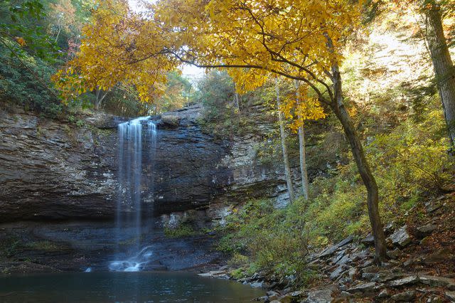 emCloudland Canyon State Park, Georgia. Courtesy of Georgia Department of Natural Resources./em