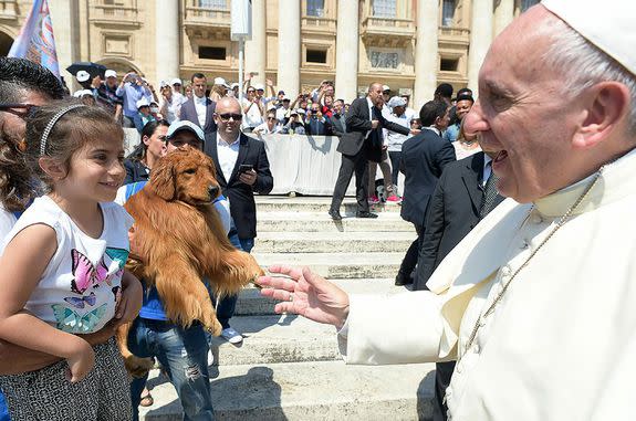 This dog is giving the Pope its complete, undivided attention.