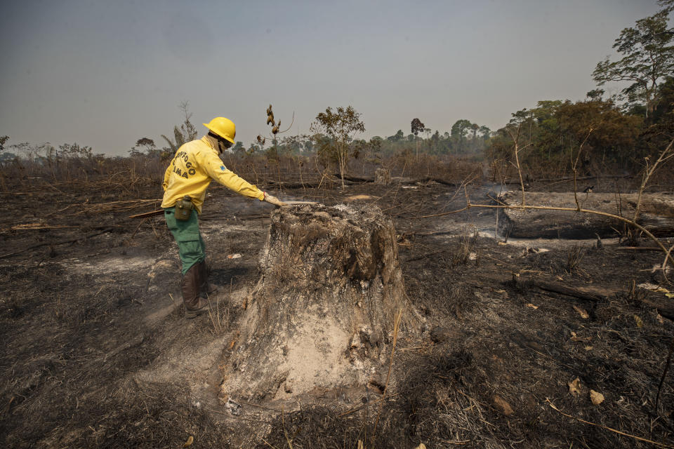 An agent from the IBAMA state-run environment agency inspects an area consumed by fire near Novo Progresso, Para state, Brazil, Tuesday, Aug. 18, 2020. When President Jair Bolsonaro put the army in charge of the agency in May, he ordered IBAMA inspectors to conduct raids only when requested by the army. (AP Photo/Andre Penner)