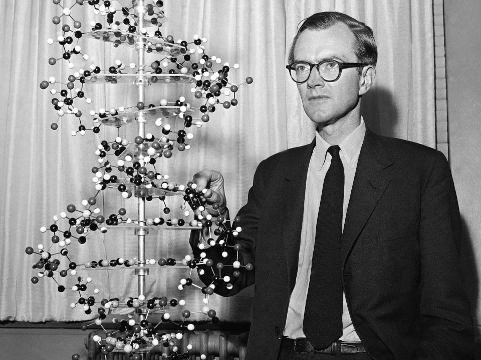 Dr. Maurice Hugh Frederick Wilkins, 46, of Greenwich, England, stands with a model of a DNA molecule during a news conference in the New York office of the Sloan-Kettering Institute for Cancer Research.