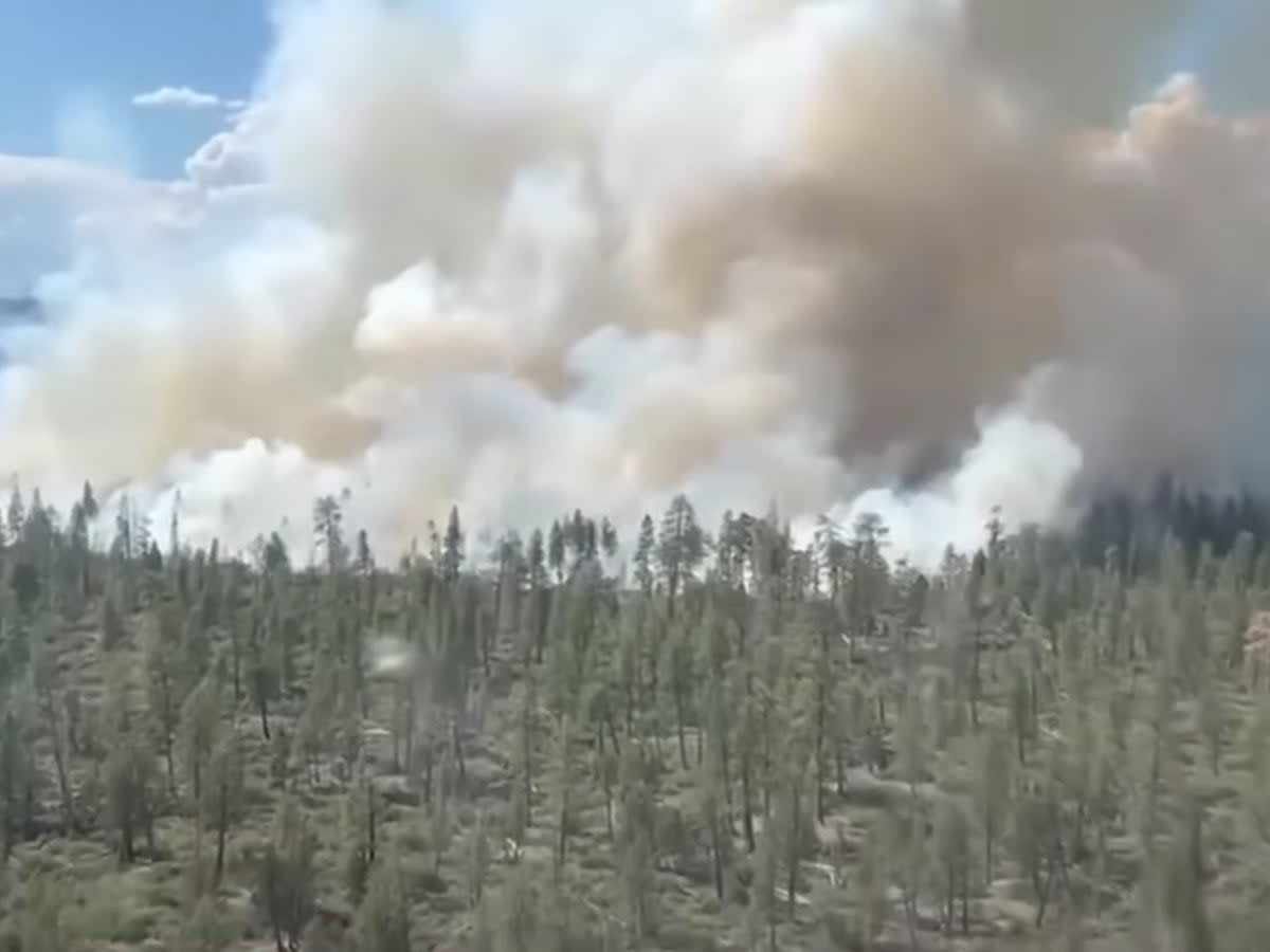 A wildfire burns in Siskiyou County, California after a lightning strike set the forest ablaze (screengrab/Cal Fire)