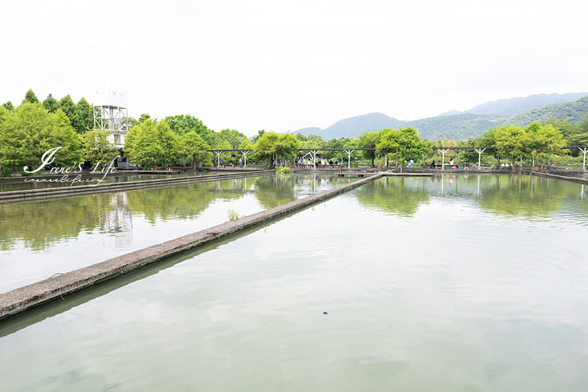 宜蘭｜勝洋水草休閒農場