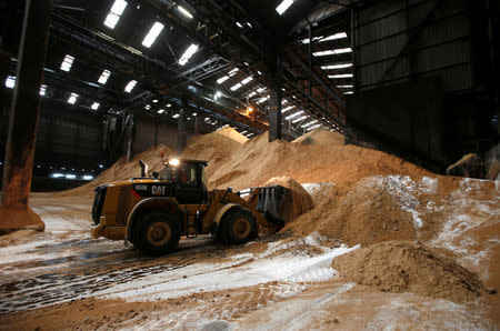 A Caterpillar wheel loader moves raw cane sugar for processing at the Tate & Lyle refinery in east London, Britain October 10, 2016. REUTERS/Peter Nicholls