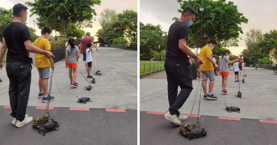 <p>A seafood restaurant in Singapore received backlash online after posting photos of members of the staff walking their crabs to ensure their meat taste good. (Photo courtesy of House of Seafood/Facebook)</p>

