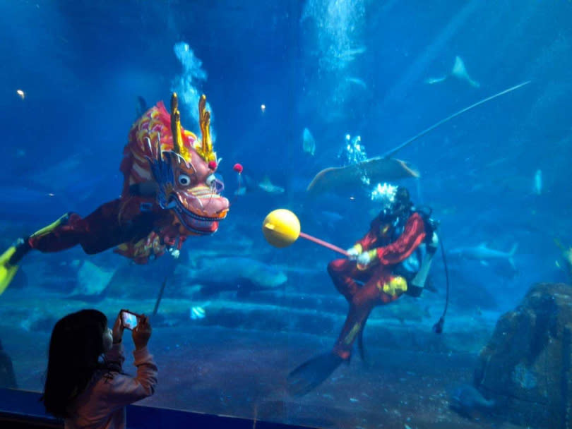 遠雄海洋公園連假推出全台唯一「水下祥龍餵食秀」，水中舞獅與魟魚、鯊魚們一起拜年。（圖／遠雄海洋公園提供）
