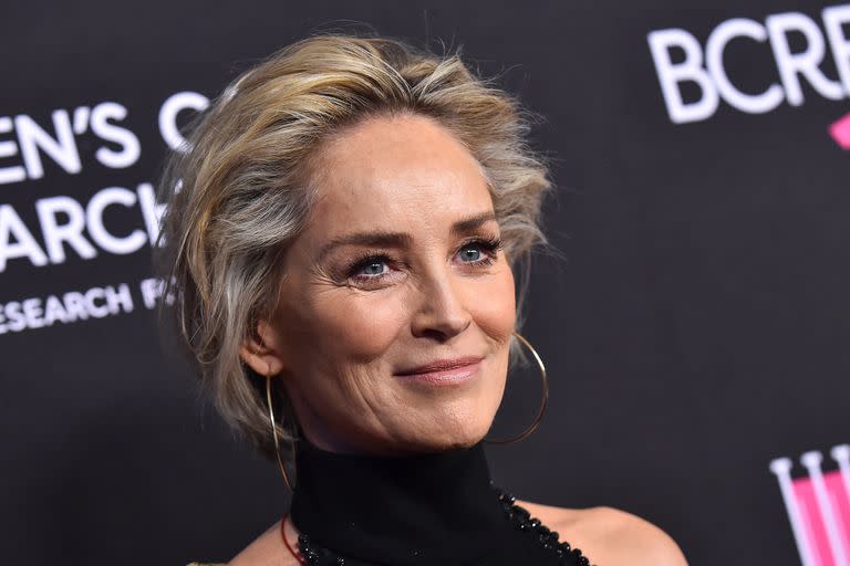 Sharon Stone llega a 