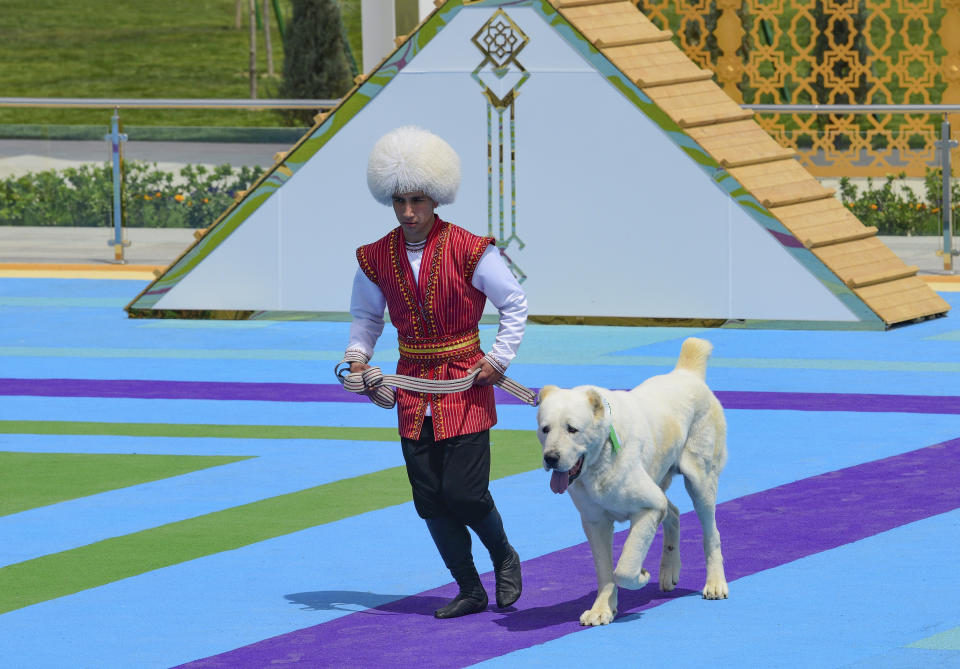 A man dressed in a national costume runs with his border guard shepherd dog Alabay during Dog Day celebration in Ashgabat, Turkmenistan, Sunday, April 25, 2021. The Central Asian nation of Turkmenistan has celebrated its new state holiday honoring the native Alabay dog breed. President Gurbanguly Berdymukhamedov established the holiday to be observed on the same day that Turkmenistan lauds its Akhla-Teke horse, a breed known for its speed and endurance. (AP Photo)