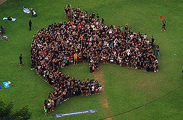 About 1,000 supporters of the "World's Saddest Dolphins" campaign gathered in the shape of a leaping dolphin in Hong Lim Park. (Photo courtesy: ACRES)