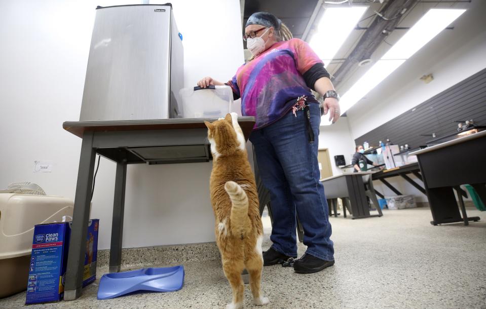 Carmela puts her paws up on the table as Melody White, a group therapist at the Buckeye Ranch, gets her a treat Jan. 26. Carmela is one of several animals in the animal-therapy program at the Buckeye Ranch.