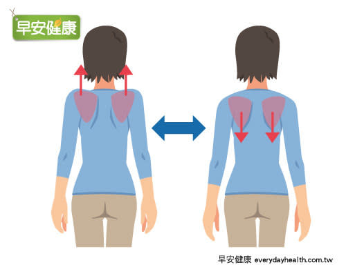 肩胛骨運動,提高代謝,燃脂運動