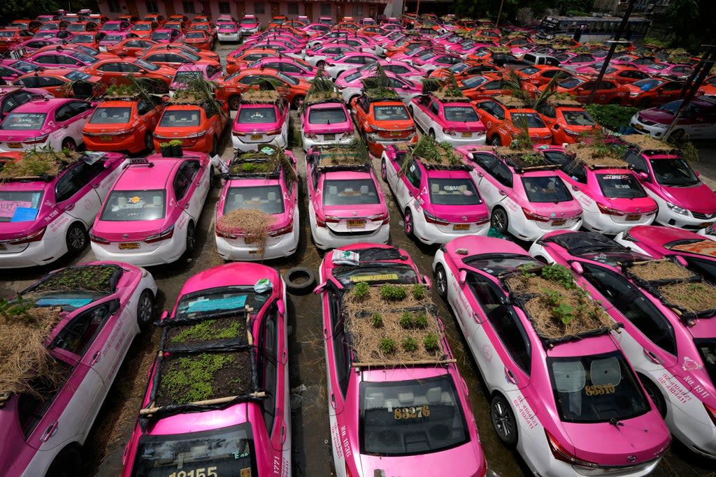 APTOPIX Thailand Taxi Gardens (Copyright 2021 The Associated Press. All rights reserved.)