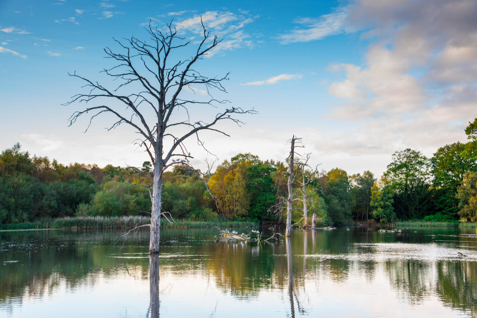 National Trust handbook 2019 photo competition