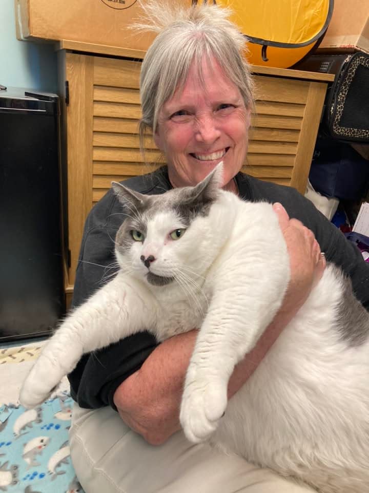 Patches the cat, who weighs 40.3 pounds, was adopted at the Richmond Animal Care and Control, the shelter posted on April 19, 2023.