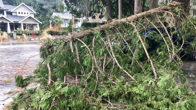 Wind wreaks havoc, leaves thousands without power in B.C.