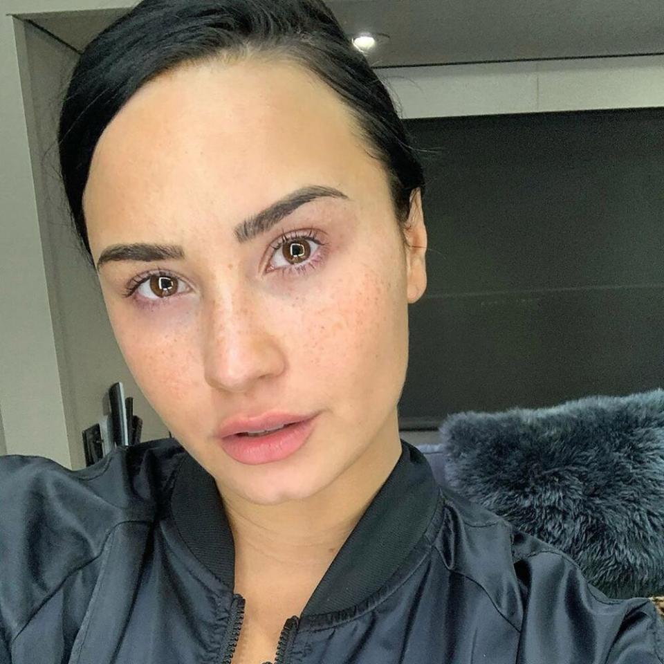 Demi Lovato/Instagram