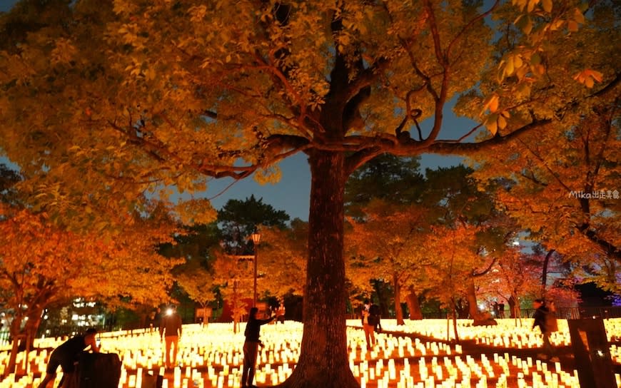 日本北九州｜小倉城竹燈祭