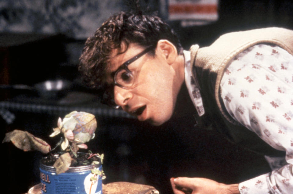 rick moranis as seymour looking at a tiny audrey 2 plant in little shop of horrors