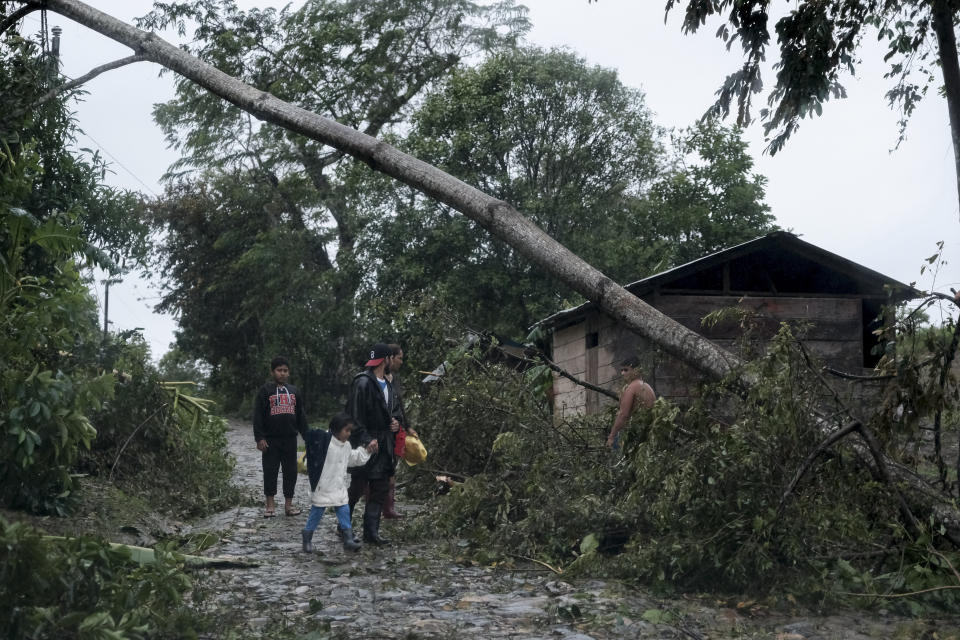 A fallen tree lies on the road after the passage of Hurricane Iota in Siuna, Nicaragua, Tuesday, Nov. 17, 2020. Hurricane Iota tore across Nicaragua on Tuesday, hours after roaring ashore as a Category 4 storm along almost exactly the same stretch of the Caribbean coast that was recently devastated by an equally powerful hurricane. (AP Photo/Carlos Herrera)