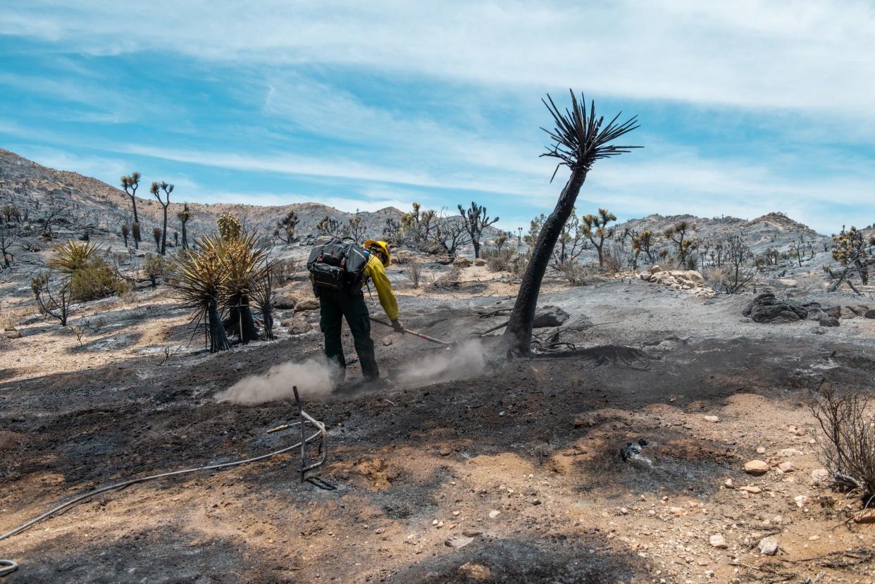 A firefighter works in the burn area of the Elk Fire, which burned 431 acres, including 170 within Joshua Tree National Park.