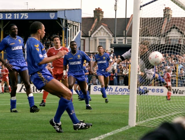 Dutch goalkeeper Hans Segers made more than 250 appearances for the Dons